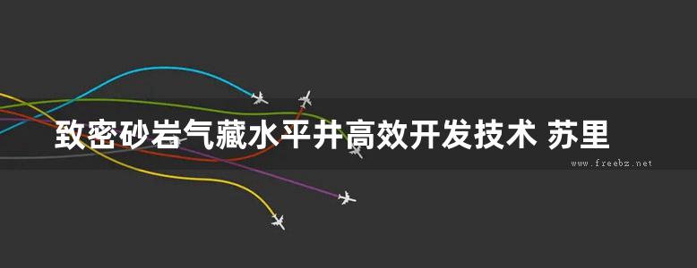 致密砂岩气藏水平井高效开发技术 苏里格气田苏53区块开发实践 刘乃震